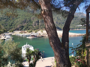 Photo n°16 de Bleu Marine Plongée - Porto Ota Corse à Ota (Club de plongée)