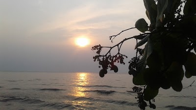 Photos of Punta Brava