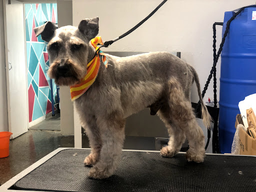 Dilan Grooming - Thumbnail