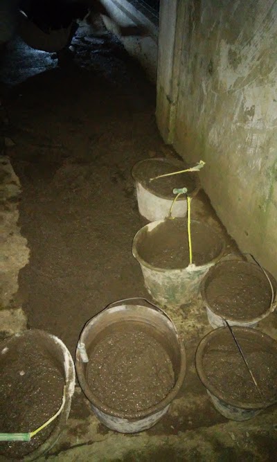 Photos of INDO JAVA NET (warnet panumbangan)
