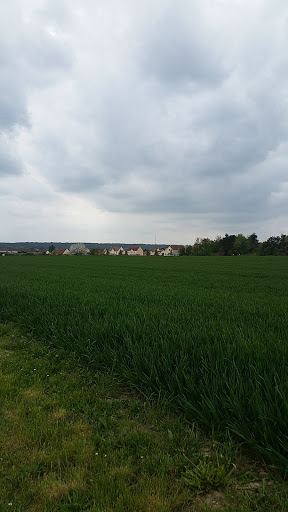 Parc des Écoliers - Thumbnail