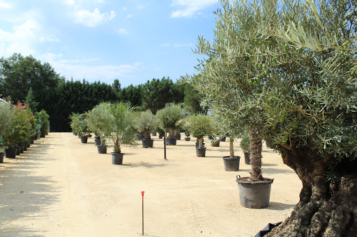 Photo de Les Jardins de Péline