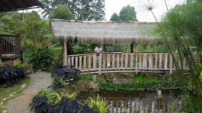 Photos of hotel campestre avalon