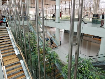 Photos of Araucan&iacute;a Airport