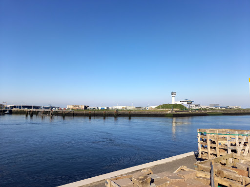 Feu de la jetée Nord-Est Gallery - France