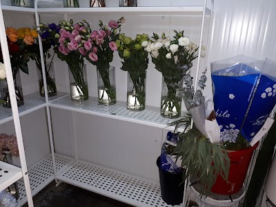 Photos of The Flower Market