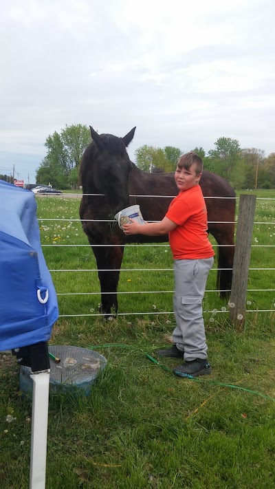 Photos of Amish Country Campsite
