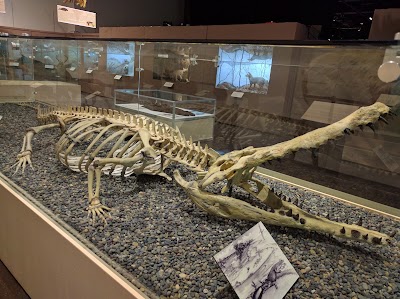 Photos of The Charleston Museum