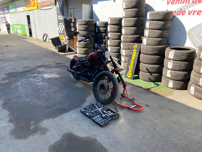 Strada Mărășești 224, Ploiești 100053