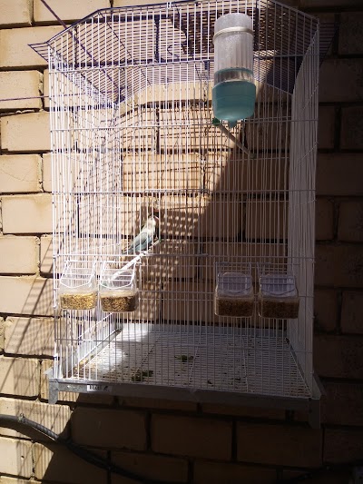 Photos of caf&eacute; Rahmoun