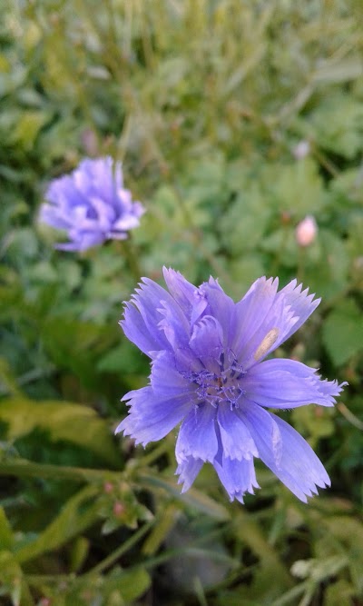 Photos of Fizkul'turno-Ozdorovitel'nyy Kompleks