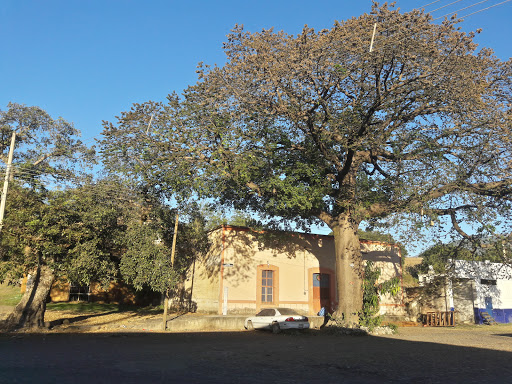 Campestre El Potrerito Logo