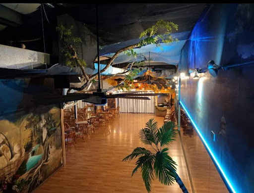 Big Island Social Dance Club