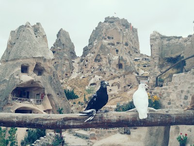 Photos of &Ccedil;iko'nun Yeri