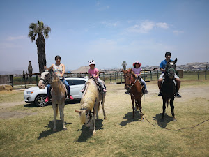 Rancho los caballos 7