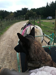 Photo n°5 de Poney Club Les Petites Folies à La Couarde-sur-Mer (Salle de jeux pour enfants)