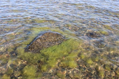 Photos of M&otilde;lgi k&auml;mping