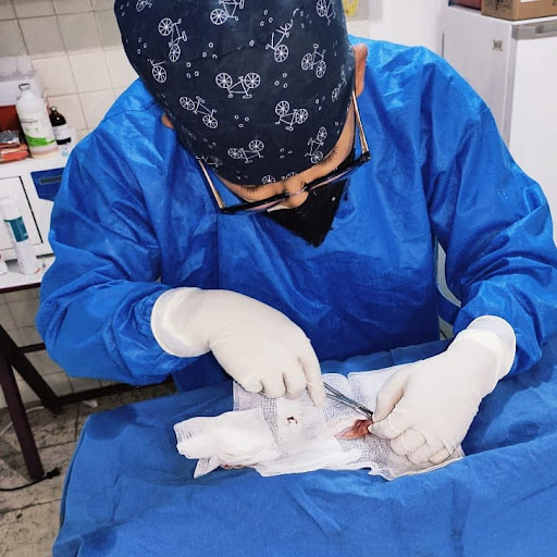 Centro Veterinario "Dr Joshua Ruiz"