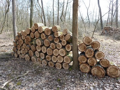 Photos of Waldgut Roitzsch