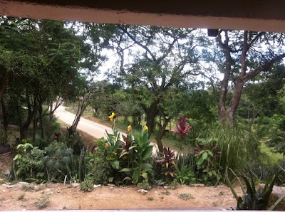 Photos of Cooperativa Apaguiz Jutiapa