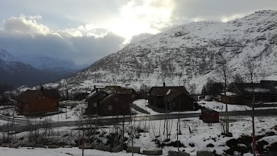 Photos of R&oslash;ldalsterrassen