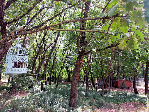 Piè le Querce - Visual