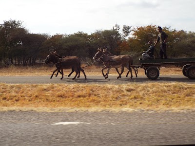 Photos of Camping area (Kwa Nokeng Lodge)