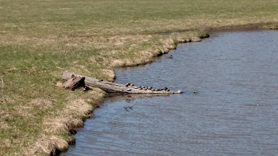 Photos of Wolf Park