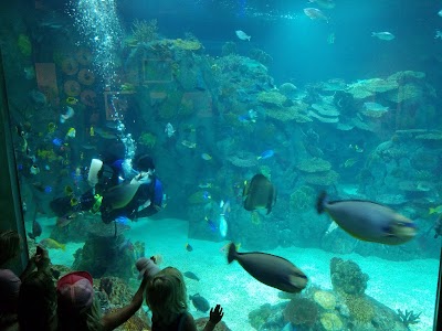 Toledo Zoo Aquarium