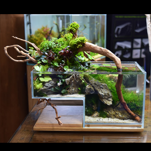 Crystal Reef - acquari su misura - Thumbnail