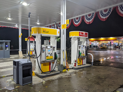 FLEMINGTON SHELL - Visual