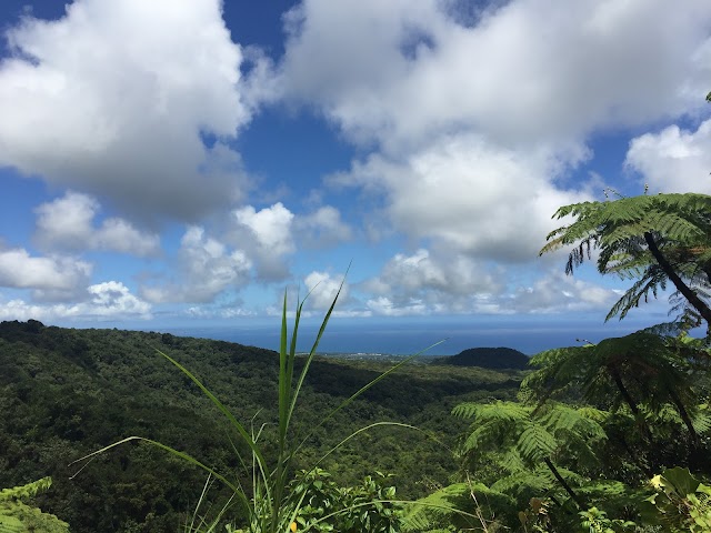 2éme Chute du Carbet