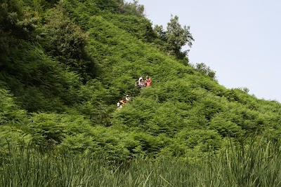 Photos of UJEVARA E HINKES