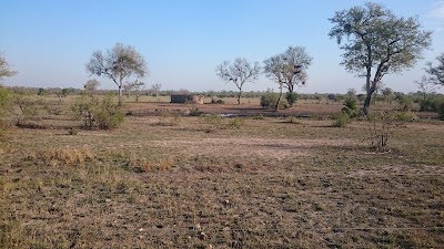 Photos of Talamati Bushveld Camp