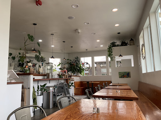 The Fairhaven - Visual