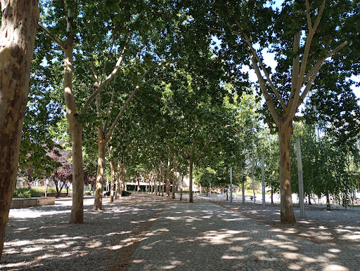Huerto de los Leones - El Jardín de las Palabras Park - Thumbnail