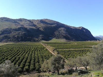 Ι.Ναός Αγίας Τριάδος, Τσιφλίκι