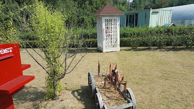 Photos of 판운식당