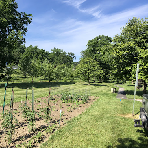 South End Borough Park - Thumbnail