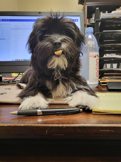 Mollet Pet Hospital and Urgent Care