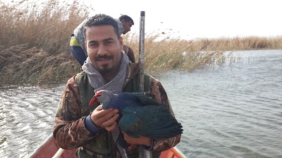 Photos of هور الدلمج