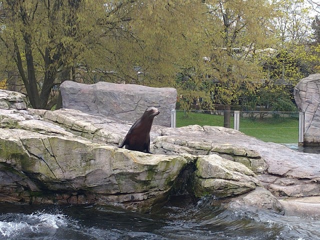 Zoologischer Stadtgarten