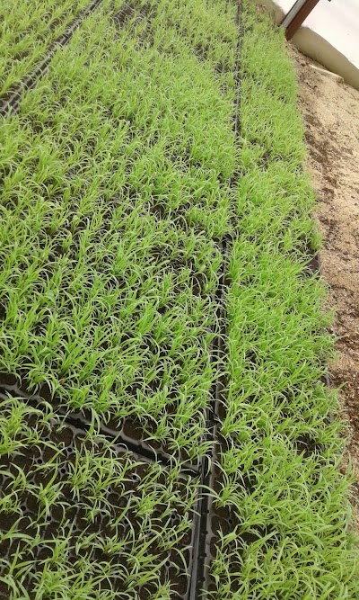 Photos of Farm Tawari