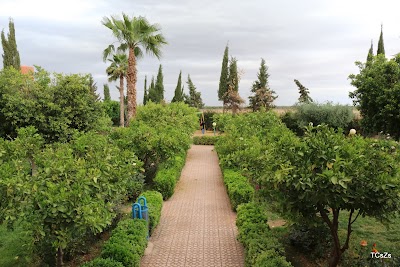 Photos of The rest of Africa Station