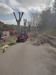 Photo n°9 de Sud Paysage 11 à Ricaud (Service d'élagage)