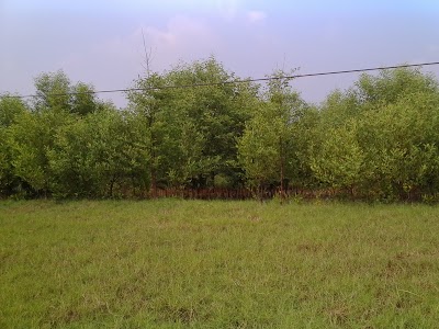Photos of Sundarban Resort & Fishing Point