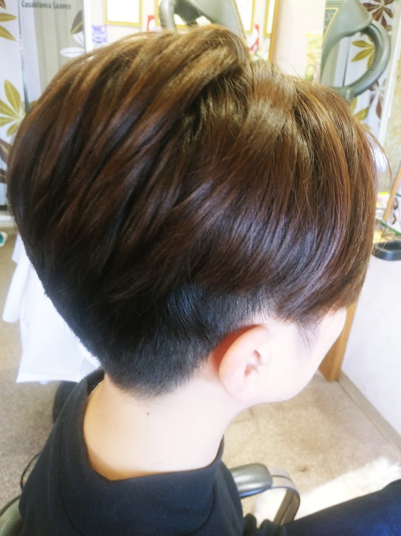 ビューティーマーキュリー