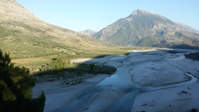 Busti i Ali Pashë Tepelenës