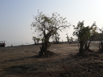 Photos of ধুলাস্বার সুমদ্র সৈকত