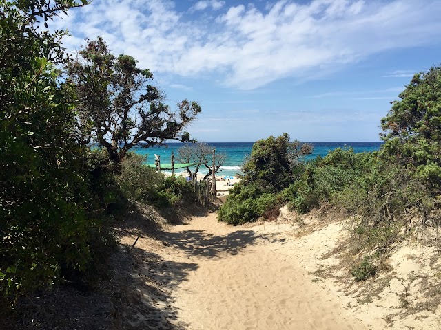 Plage de Bodri